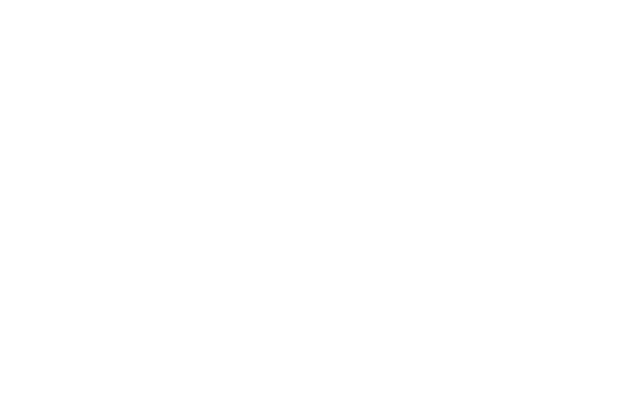 Starmax Marketing