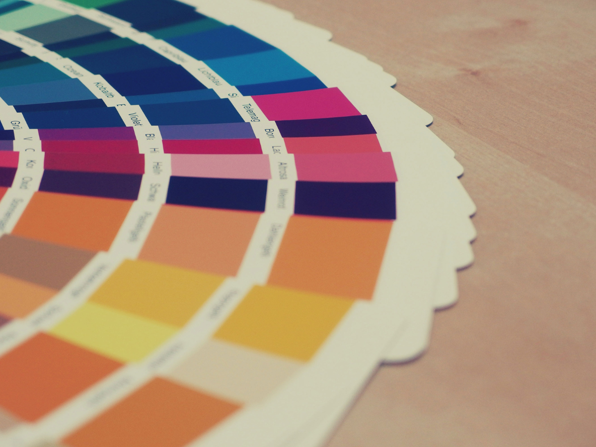 Logo & Visual Identity